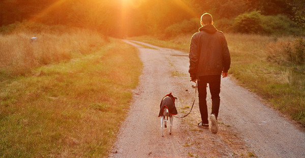  El Tribunal Supremo absuelve a un hombre por golpear a su perro porque las lesiones no fueron graves