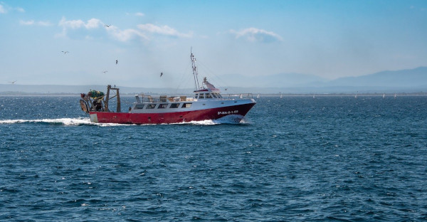 El seguro de un barco no cubre su hundimiento por ir a pescar en aguas demasiado profundas