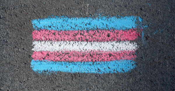 Euskadi aprueba la Ley de no discriminación por motivos de identidad de género y de reconocimiento de los derechos de las personas trans