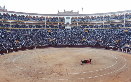 El TC anula la Ley que prohibe los toros en Cataluña por invadir competencias del Estado