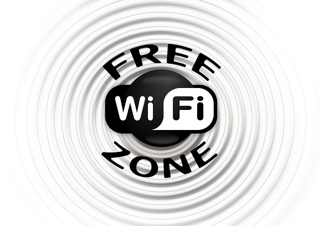 El titular de una red Wi-Fi gratuita no es responsable de las infracciones de derechos de autor cometidas por un usuario